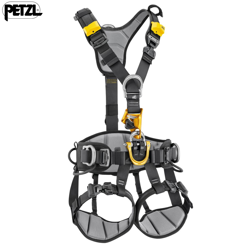 Petzl Astro International Harness